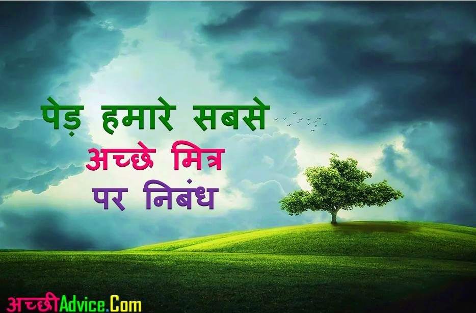trees our best friend essay in hindi